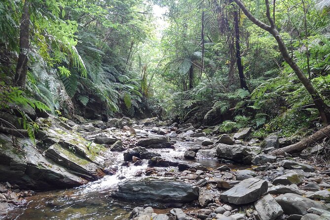 Okinawa Jungle Trails & Waterfalls – Private Yanbaru Tour - Who should book this experience?