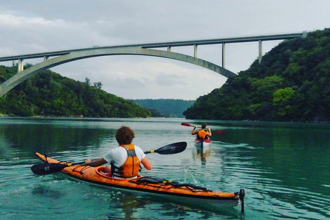 Okinawa: Kayak Mangroves & Ocean Native-English Private Tour - The key points at a glance