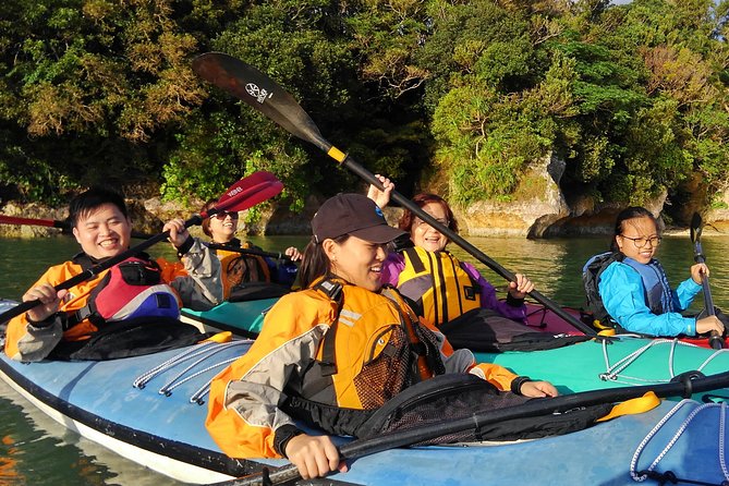Okinawa: Kayak Mangroves & Ocean Native-English Private Tour - Why this kayak trip feels different from a standard Okinawa outing