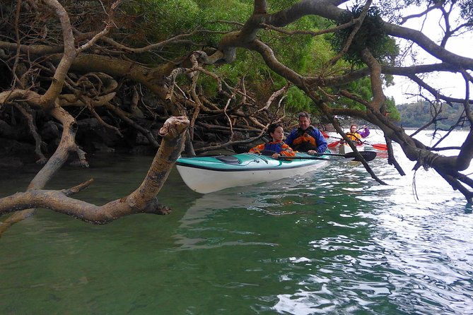 Okinawa: Kayak Mangroves & Ocean Native-English Private Tour - Kouri Ohashi and a quiet island break