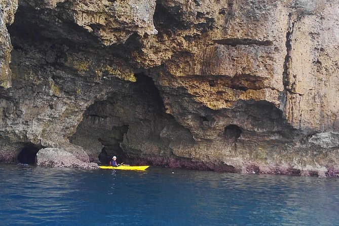 Okinawa: Kayak Mangroves & Ocean Native-English Private Tour - What makes guide Nik a major part of the value