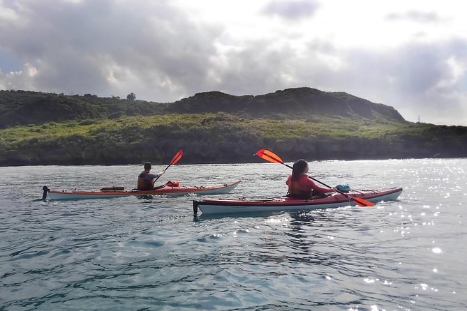 Okinawa: Kayak Mangroves & Ocean Native-English Private Tour - Price, group size, and practical value