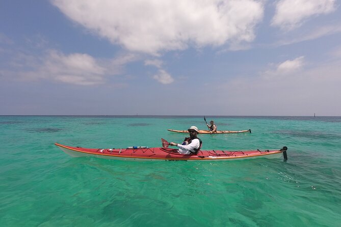 Okinawa: Kayak & Snorkel, Private Tour in Yanbaru - A Flexible Finish Instead of a Fixed Route