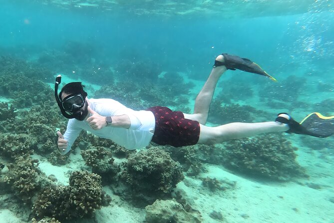 Okinawa: Kayak & Snorkel, Private Tour in Yanbaru - What the Private Format Adds