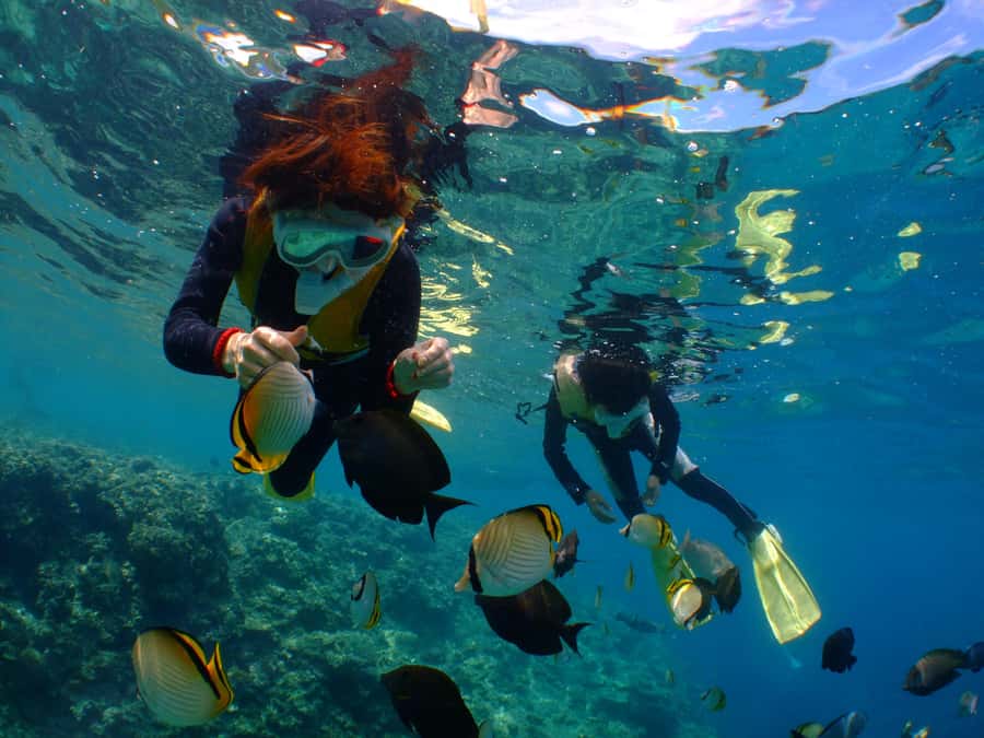 Okinawa : Kerama Whole Day Snorkeling Tour From Chatan/Naha - The second and third sites near Kerama National Park