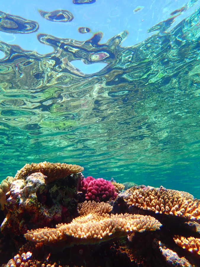 Okinawa : Kerama Whole Day Snorkeling Tour From Chatan/Naha - Who will enjoy this boat day most