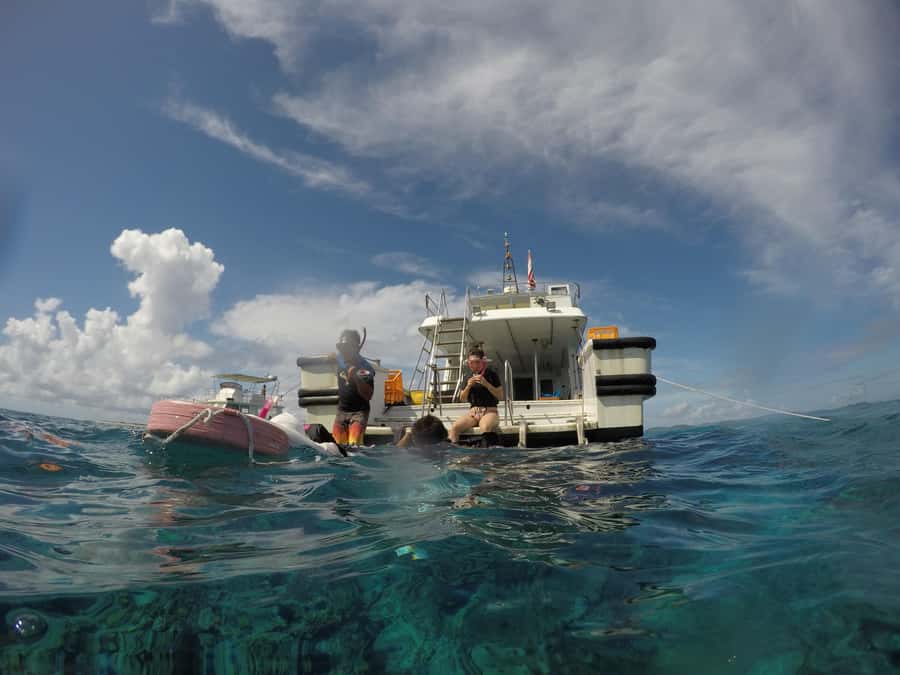 Okinawa : Kerama Whole Day Snorkeling Tour From Chatan/Naha - What the first snorkeling stop is like