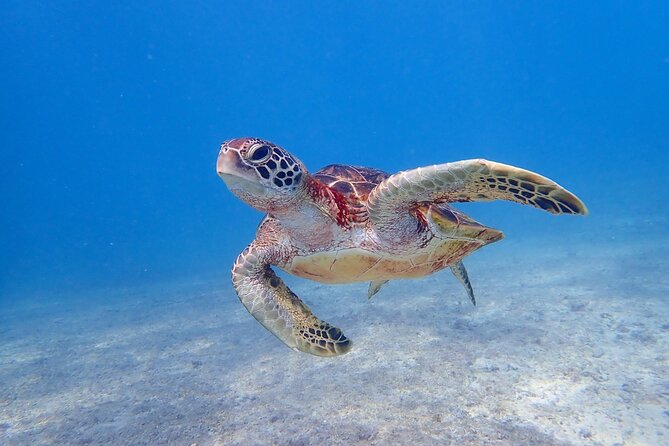 Okinawa Miyako 3set Beach SUP, Snorkeling,Pumpkin Cave,Canoeing - Why this Miyakojima combination works