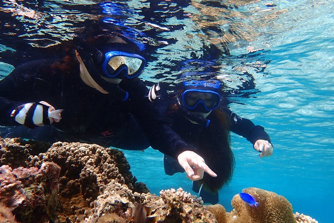 Okinawa Miyako 3set Beach SUP, Snorkeling,Pumpkin Cave,Canoeing - Snorkeling with a chance of sea turtles