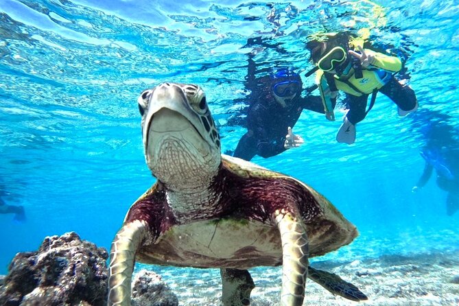 Okinawa Miyako Beach SUP or Canoe and sea turtle Snorkeling - Why this Miyakojima water day works