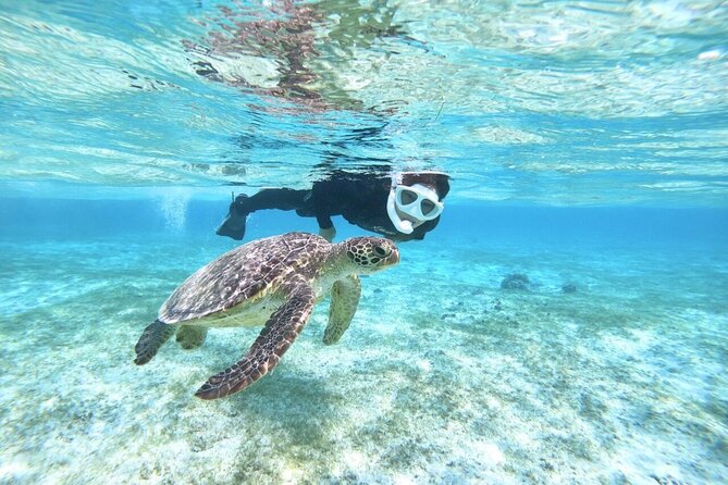 Okinawa Miyako Beach SUP or Canoe and sea turtle Snorkeling - Choosing SUP or canoe