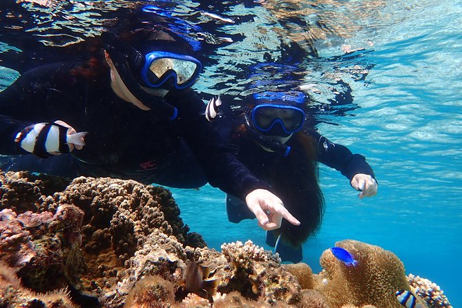 Okinawa Miyako Beach SUP or Canoe and sea turtle Snorkeling - What makes the snorkeling worthwhile