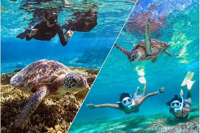 Okinawa Miyako Sea turtle Snorkeling Free Pick up and Drop off - The Guide Makes the Difference