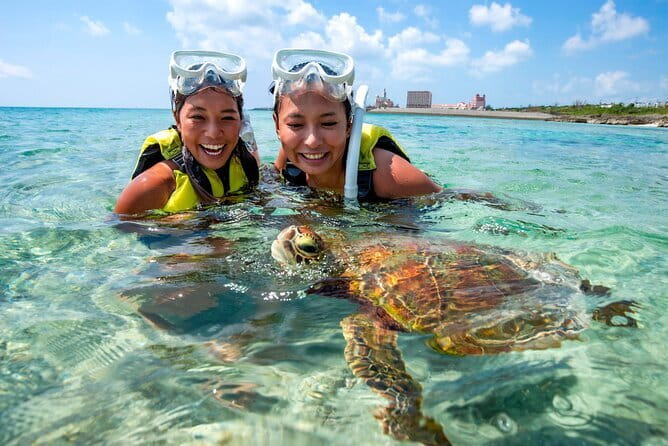 Okinawa Miyako Sea turtle Snorkeling Free Pick up and Drop off - Is the $45.59 Price Good Value?