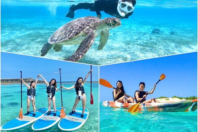Okinawa Miyako Sea turtle Snorkeling Free Pick up and Drop off - Who Should Book This Experience?