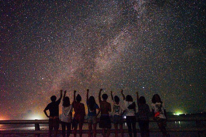 Okinawa Miyako Star Gazing & Subtropical Jungle Night Tour - Key points at a glance