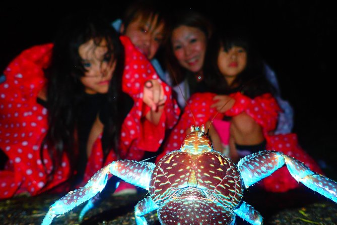 Okinawa Miyako Star Gazing & Subtropical Jungle Night Tour - The first moments in the dark