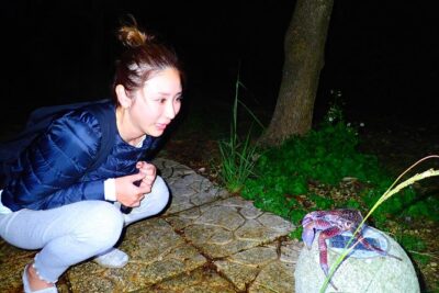 Okinawa Miyako Star Gazing & Subtropical Jungle Night Tour