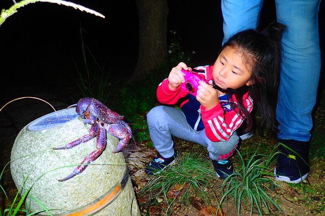 Okinawa Miyako Star Gazing & Subtropical Jungle Night Tour - Stargazing under Miyakojima’s darker sky