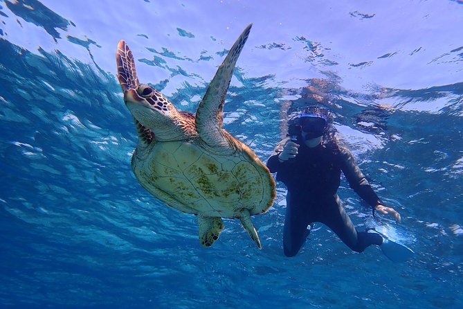 Okinawa Miyakojima 1 day Sea Turtle Snorkeling & Pumpkin Cave & Sea Kayak - Returning by canoe and finishing by midafternoon