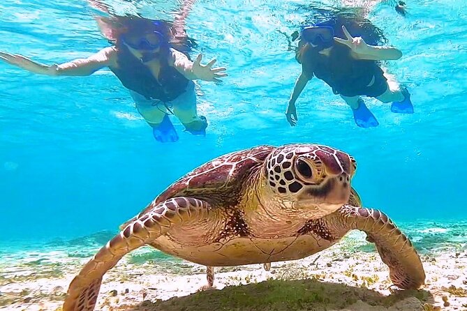 Okinawa Miyakojima 1 day Sea Turtle Snorkeling & Pumpkin Cave & Sea Kayak - Who will enjoy this Miyakojima combination