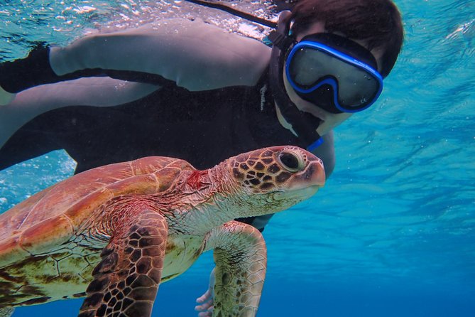 Okinawa Miyakojima Half Day SUPor Canoe & Sea Turtle Snorkeling (Half Day Set) - What this Miyakojima water tour is really offering