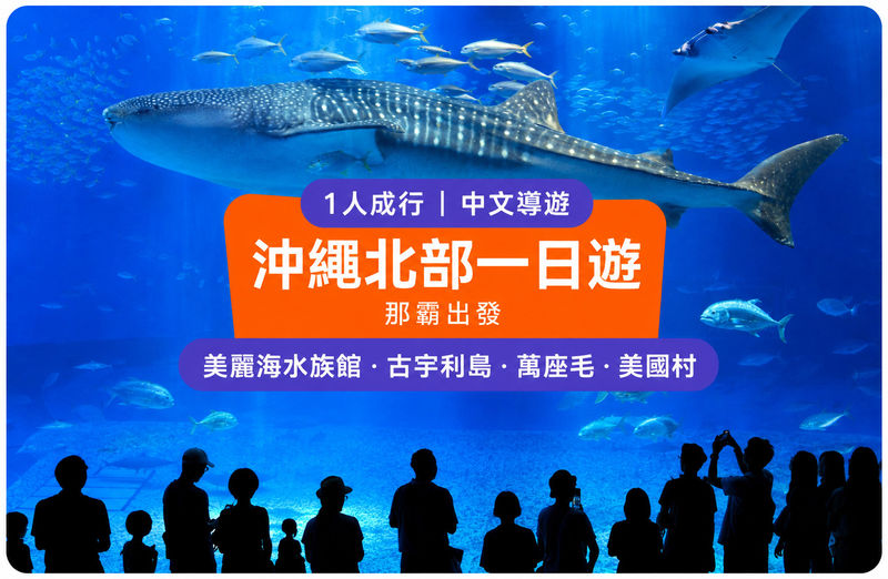 (Okinawa's No. 1 Popular Northern Day Trip) Chinese-speaking guide · Includes admission tickets · 1 person can book: Churaumi Aquarium · Cape Manzamo · Kouri Island · American Village - At a glance: four stops, one long day