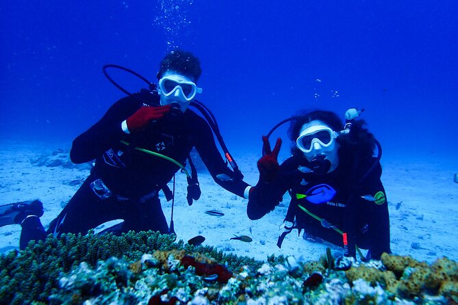 Okinawa: Scuba Diving Tour with Wagyu Lunch and English guide - Key points to know before booking
