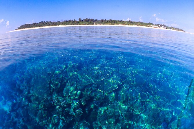 Okinawa: Scuba Diving Tour with Wagyu Lunch and English guide - Is $250.38 a fair price?
