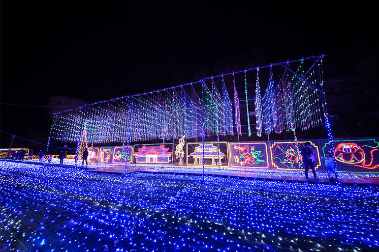 Okinawa Zoo & Museum Admission Ticket - A zoo stop with a distinctly Okinawan setting