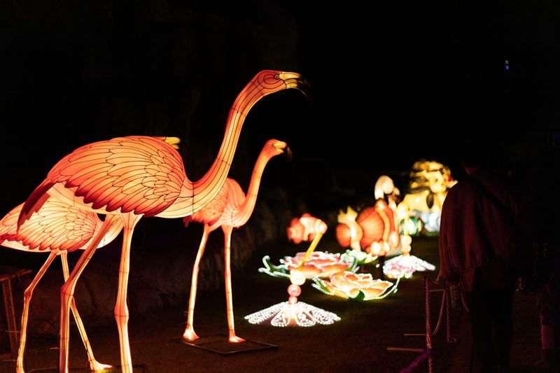 Okinawa Zoo & Museum Admission Ticket - Opening hours and getting there