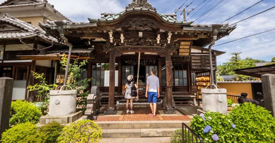 Old and Nostalgic Tokyo: Half-Day Yanaka Walking Tour - Is the walking level manageable?