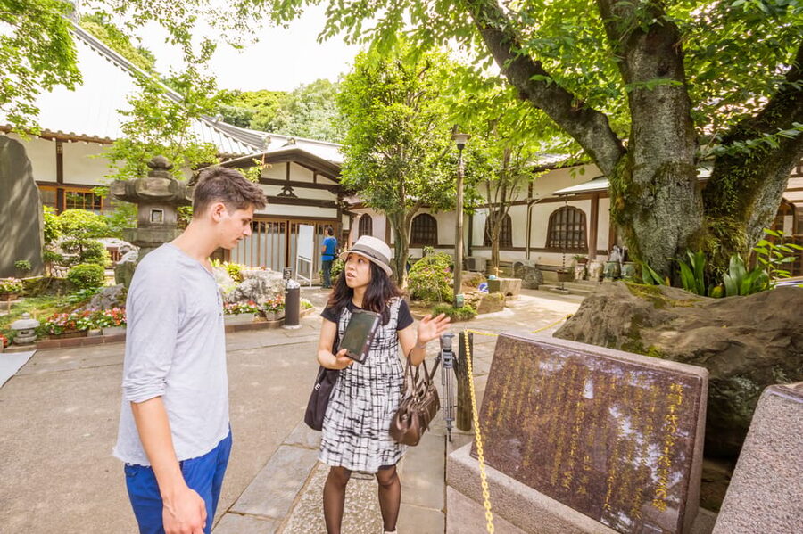 Old and Nostalgic Tokyo: Half-Day Yanaka Walking Tour - Slopes, writers, and old Tokyo views