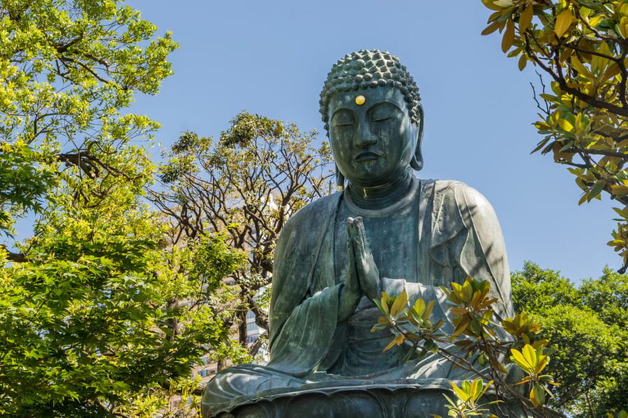 Old and Nostalgic Tokyo: Half-Day Yanaka Walking Tour - What the $83 price includes