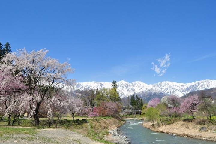 On Trails through Ancient Japan by DIAMIR Erlebnisreisen - 16-Day Tour Review - Tokyo’s gardens, market streets and crossing