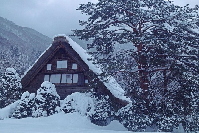 [One-day bus tour departing from Kanazawa Station] Shirakawa-go/Takayama tour platinum route bus tour - Two hours in the thatched villages of Shirakawa-go