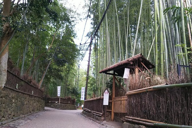 One-Day Walking Tour : Enjoy Kyoto to the fullest! - Walking through Gion with eyes open