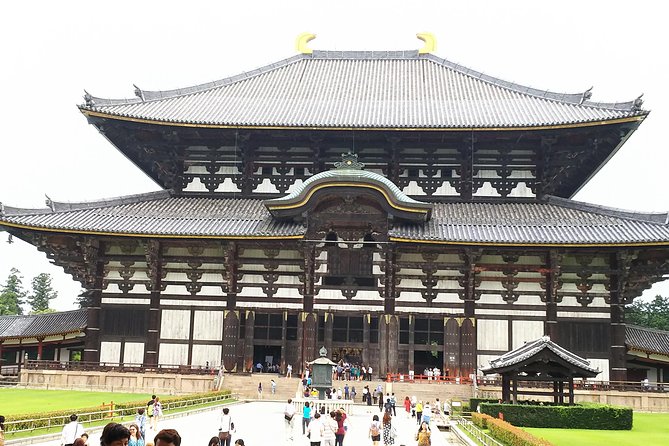 One-Day Walking Tour of Amazing 8th Century Capital Nara - Kasuga Grand Shrine and the Fujiwara connection