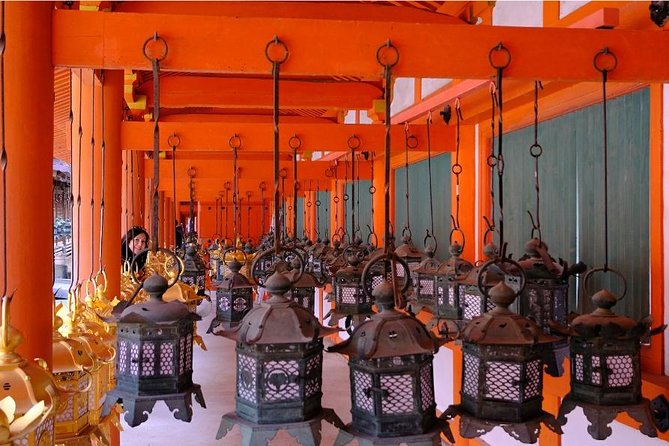 One-Day Walking Tour of Amazing 8th Century Capital Nara - What the private guide adds