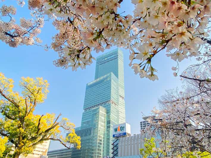 Osaka: Abeno Harukas 300 Observatory E-Ticket - Key points to know before you go