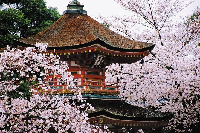 Osaka and Kansai Private Customized Day Tour - Choosing Between Osaka, Kyoto, Kobe, and Nara