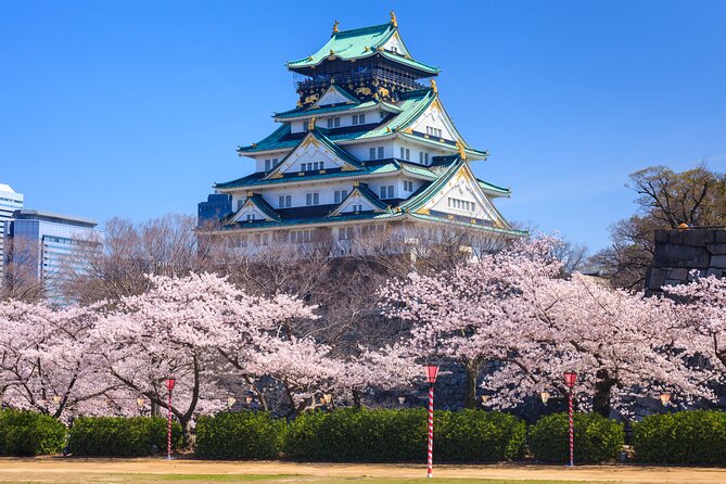 Osaka and Kansai Private Customized Day Tour - Should You Book the Osaka and Kansai Charter?