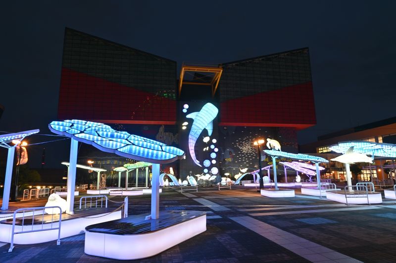 Osaka Aquarium Kaiyukan Ticket - Coral, Jellyfish, and the Japan Deep