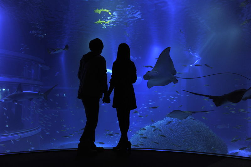 Osaka Aquarium Kaiyukan Ticket - Practical Details for a Smoother Visit