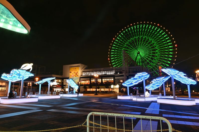Osaka Aquarium Kaiyukan Ticket - Is Kaiyukan Worth Your Osaka Afternoon?