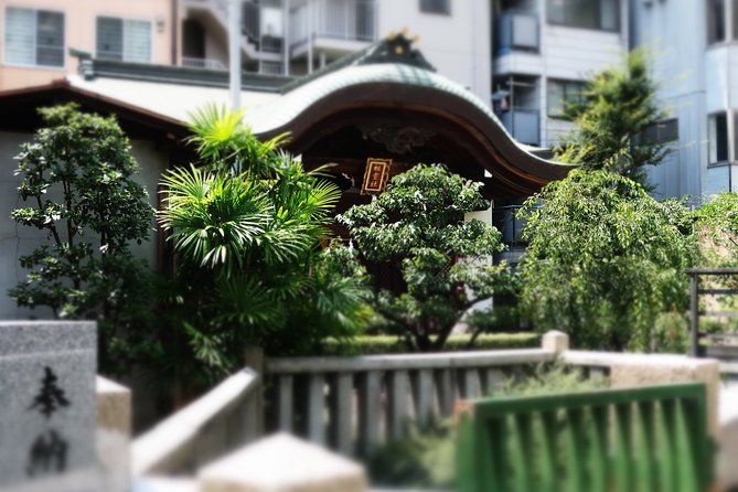 Osaka Castle and a visit to the longest shopping street in Japan - A private guide can change the feel of the day