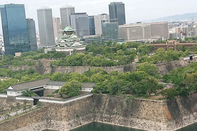 Osaka Castle & Dotonbori Lively One-Day Walking Tour - Key things to know before booking
