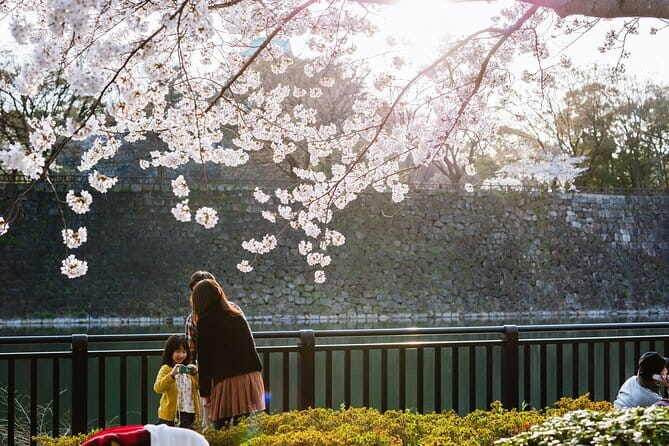 Osaka Castle & Samurai History Walking Tour - Why Osaka Castle makes a useful starting point