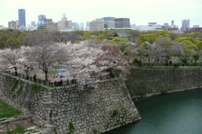 Osaka Castle & Samurai History Walking Tour