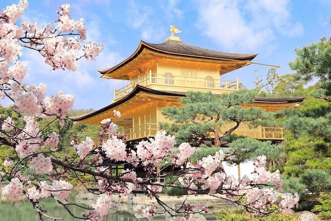 Osaka Castle & Samurai History Walking Tour - Miraiza Osaka and the castle’s military associations